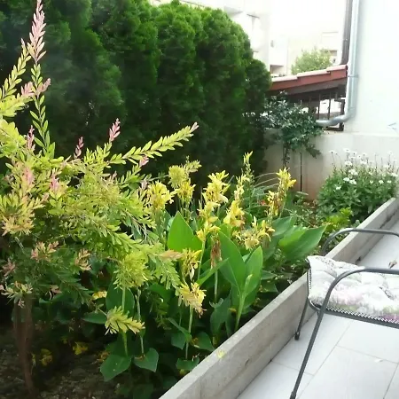 San Apartment